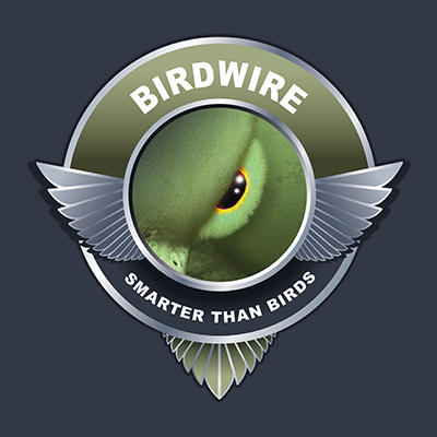birdwire