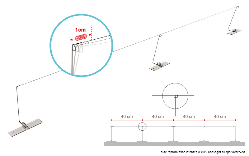 Cable Bird Wire Simple