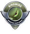 Birdwire Birdwire