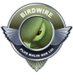 birdwire