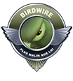 Birdwire